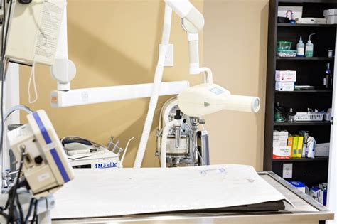 village animal hospital minnetonka|village animal hospital lexington ky.